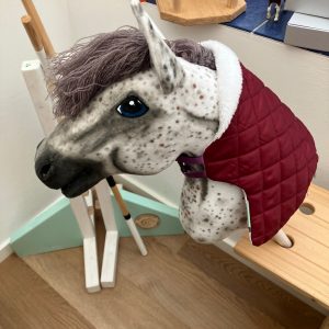 Hobby Horse Stalldecke am Hobby Horse