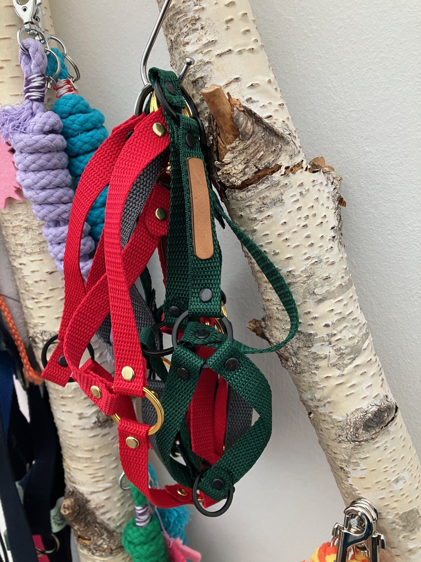 Hobby Horse Halfter und Namensschild verschiedene Farben