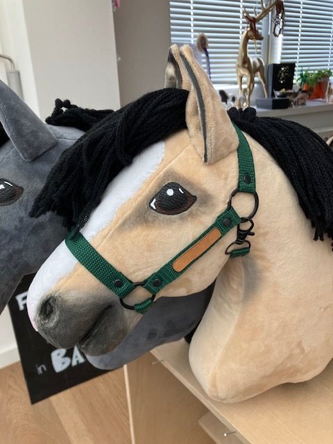 Hobby Horse mit Halfter und Namensschild